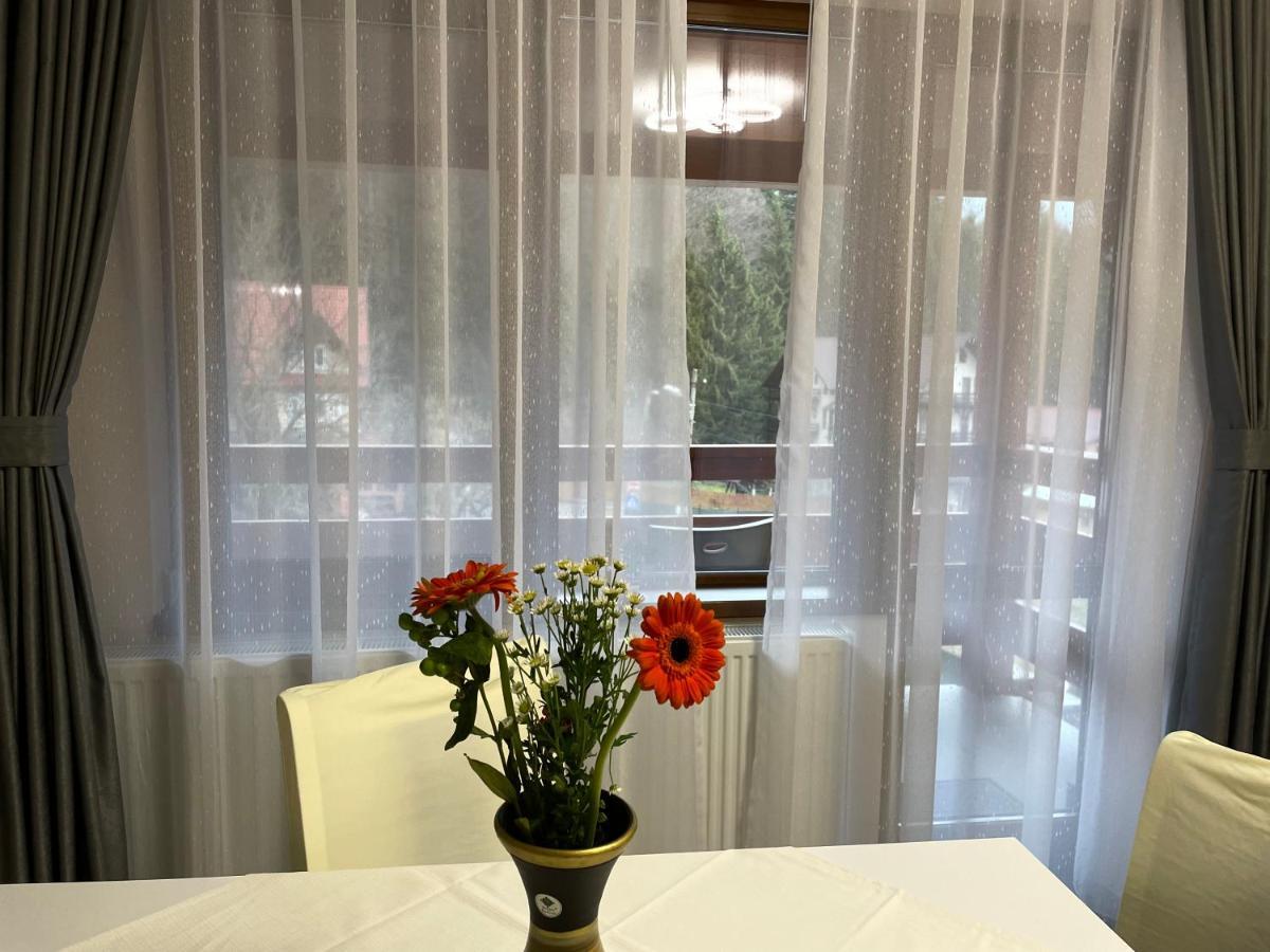 Apartament Lexannona Buşteni 外观 照片