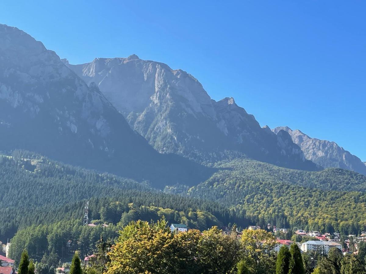 Apartament Lexannona Buşteni 外观 照片