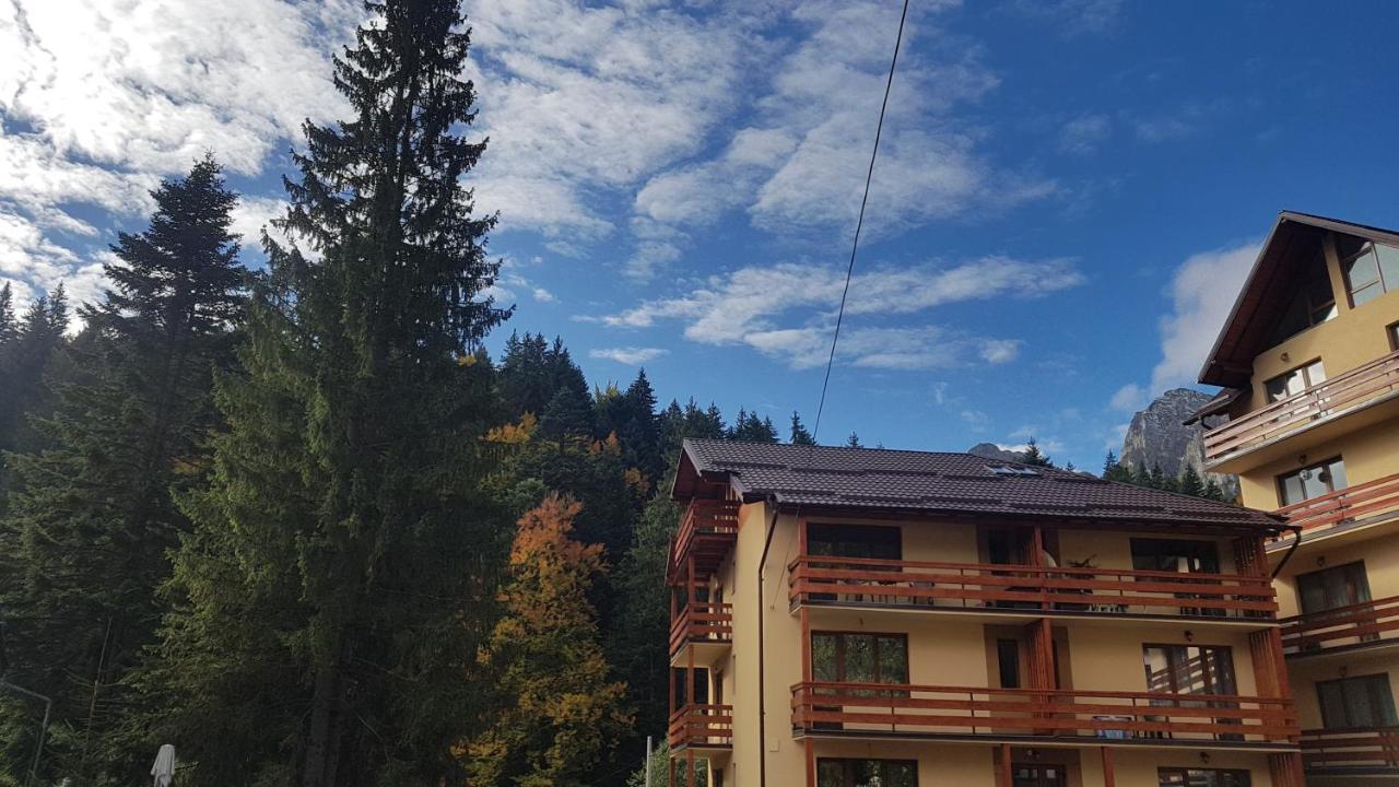 Apartament Lexannona Buşteni 外观 照片