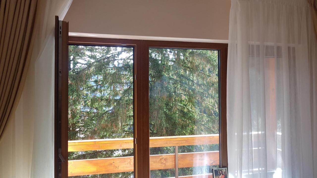 Apartament Lexannona Buşteni 外观 照片