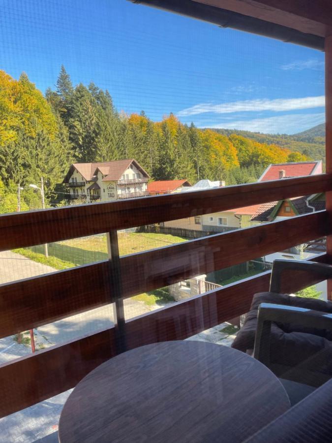 Apartament Lexannona Buşteni 外观 照片